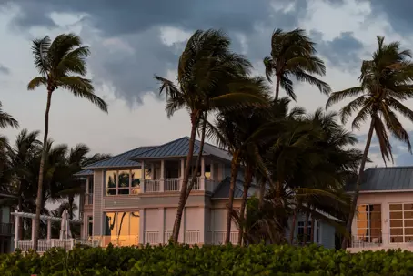 Palm trees blowing in wind in front of home