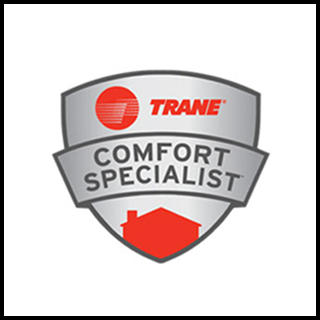 Top 10 Dealership in Florida